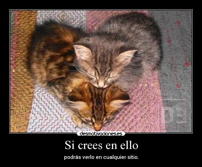 Si crees en ello - podrás verlo en cualquier sitio.