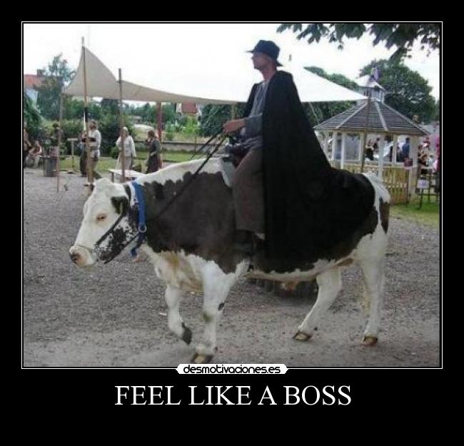 FEEL LIKE A BOSS - 
