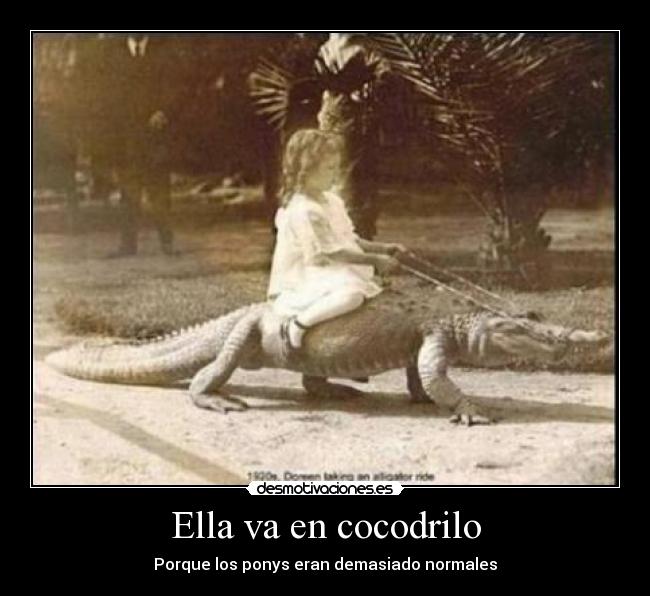 Ella va en cocodrilo - Porque los ponys eran demasiado normales