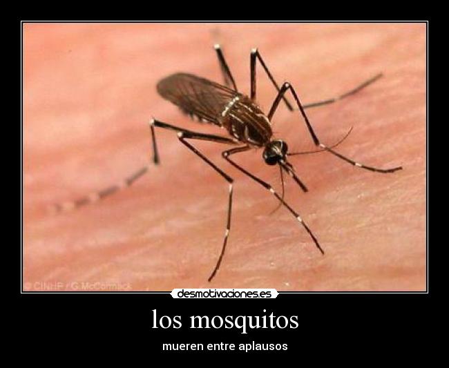 los mosquitos -