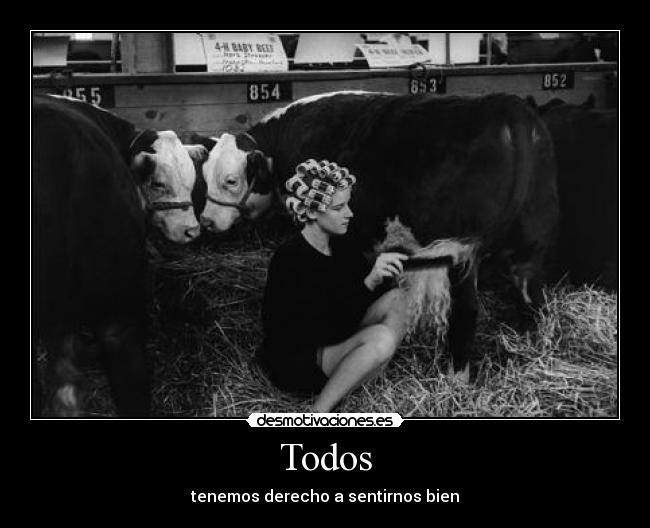 Todos - 