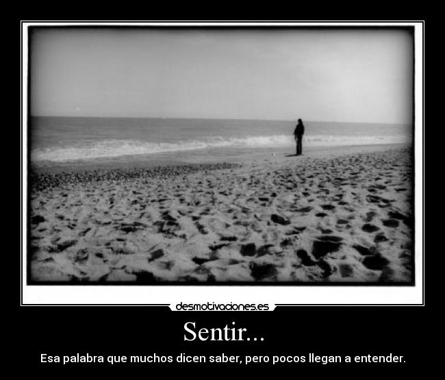 Sentir... - Esa palabra que muchos dicen saber, pero pocos llegan a entender.