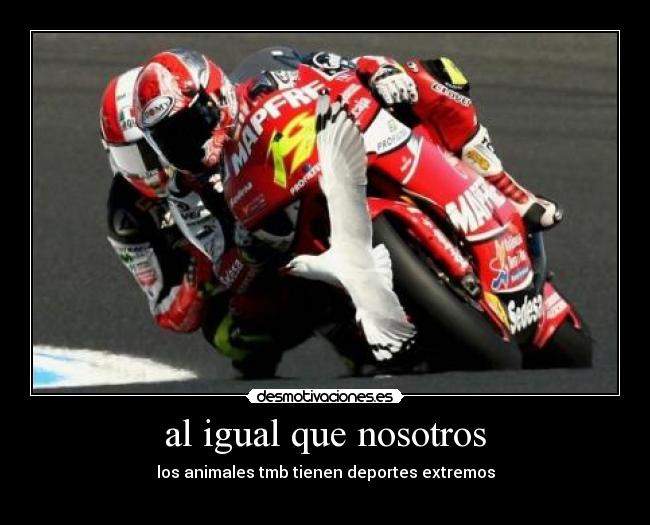 al igual que nosotros -