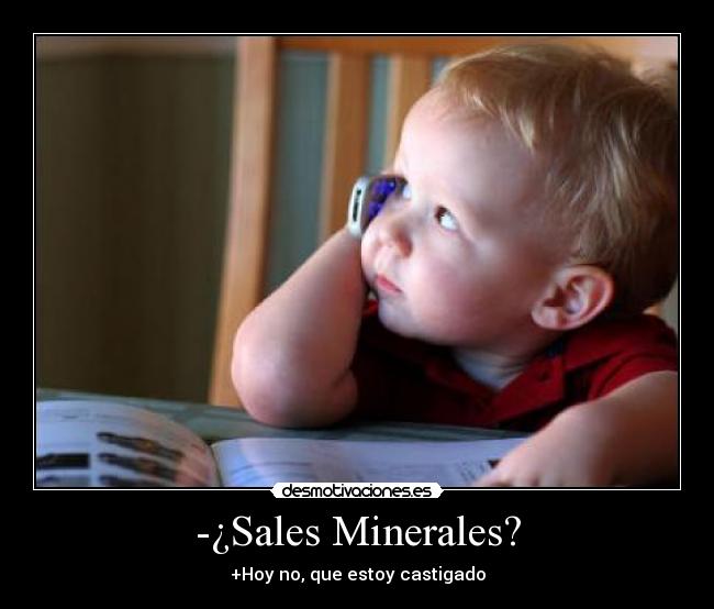 carteles sales minerales desmotivaciones