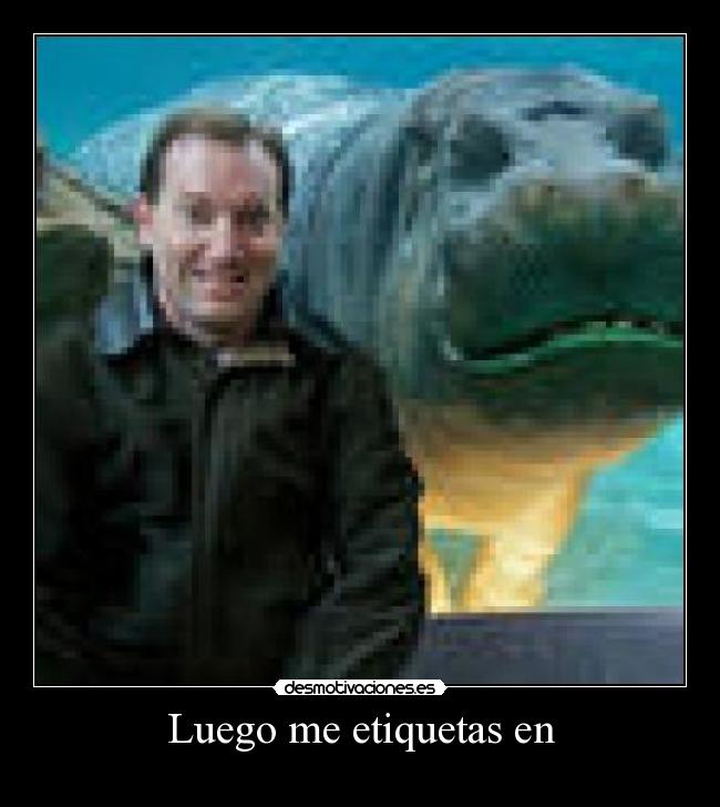 Luego me etiquetas en - 