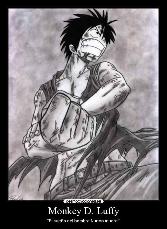 Monkey D. Luffy - 