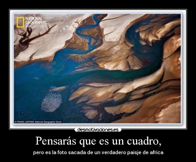 Pensarás que es un cuadro, - 