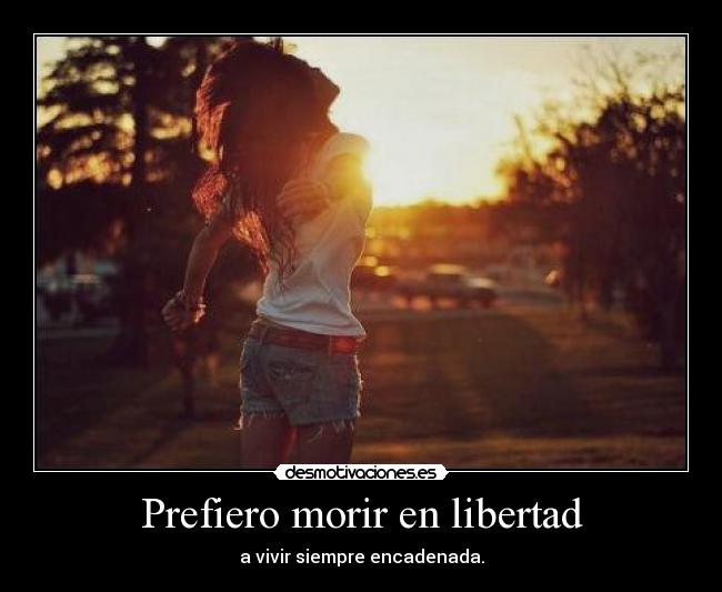 carteles libertad 1456 desmotivaciones