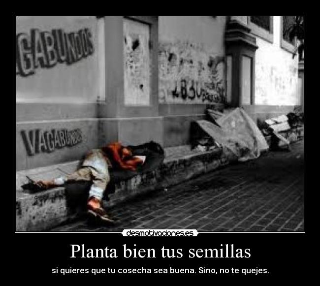 Planta bien tus semillas - si quieres que tu cosecha sea buena. Sino, no te quejes.