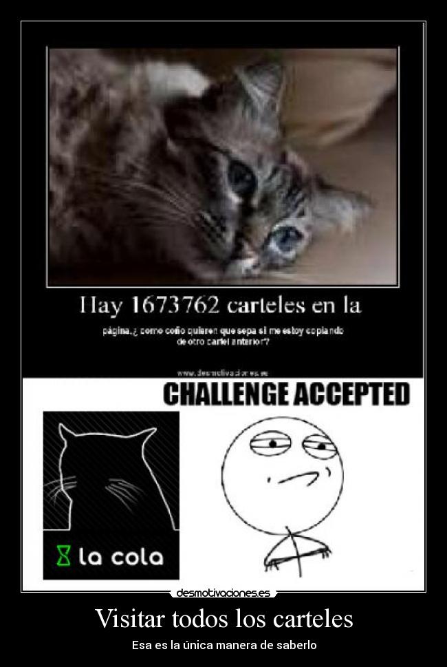 carteles visita carteles cola challenge awron desafio desmotivaciones