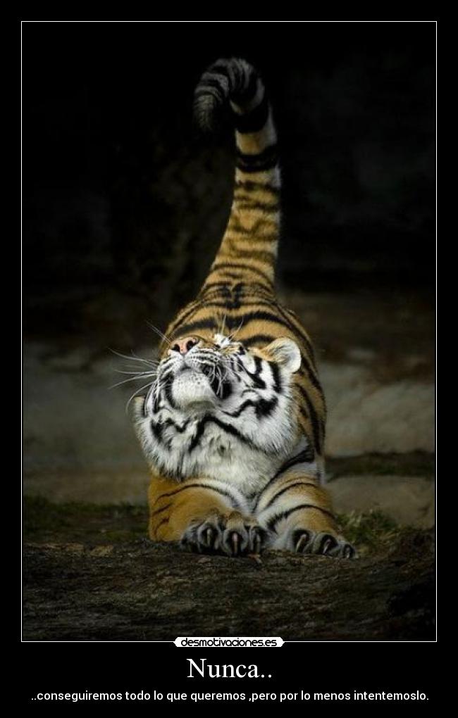 Nunca.. - ..conseguiremos todo lo que queremos ,pero por lo menos intentemoslo.