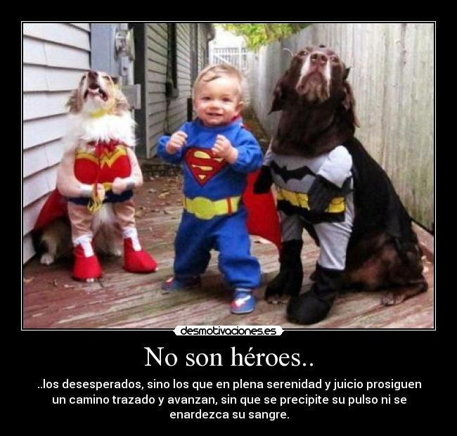 No son héroes.. - ..los desesperados, sino los que en plena serenidad y juicio prosiguen
un camino trazado y avanzan, sin que se precipite su pulso ni se
enardezca su sangre.