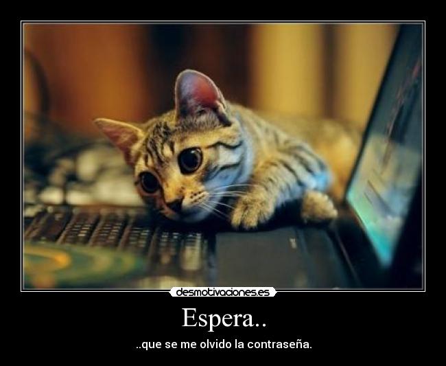 Espera.. - ..que se me olvido la contraseña.