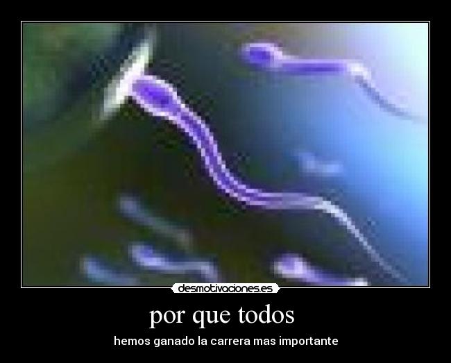 por que todos  - 