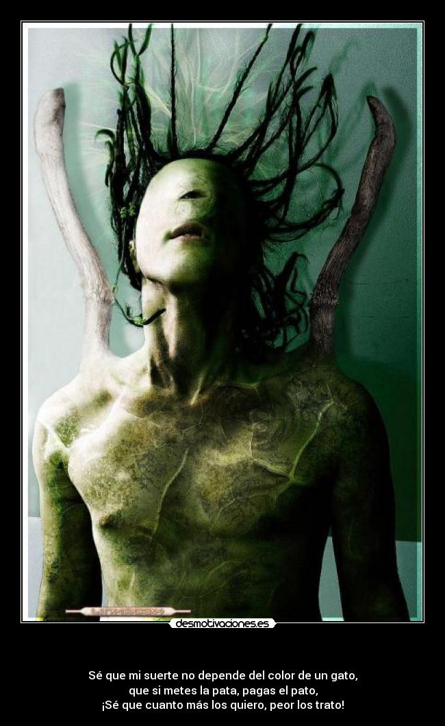   - Sé que mi suerte no depende del color de un gato,
que si metes la pata, pagas el pato,
¡Sé que cuanto más los quiero, peor los trato!