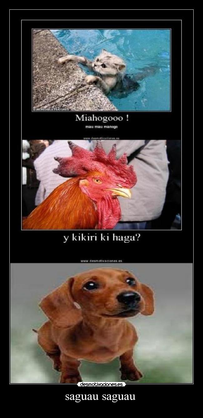 saguau saguau -