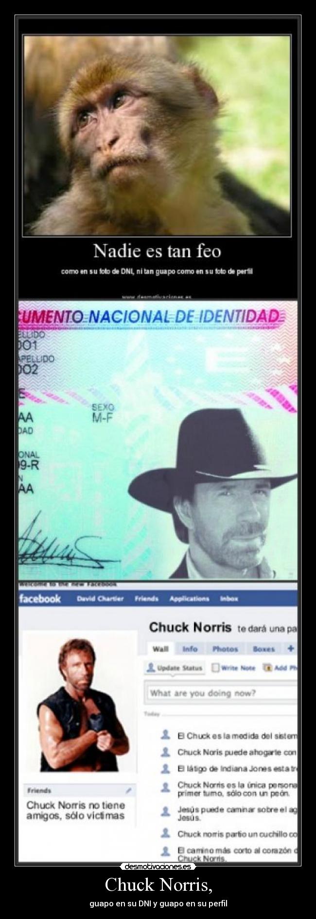 Chuck Norris, -
