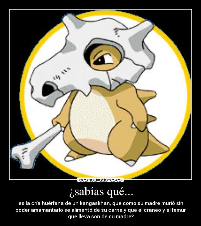 ¿sabías qué... - es la cría huérfana de un kangaskhan, que como su madre murió sin
poder amamantarlo se alimentó de su carne,y que el craneo y el femur
que lleva son de su madre?