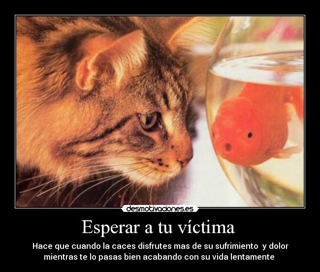 Esperar a tu víctima -
