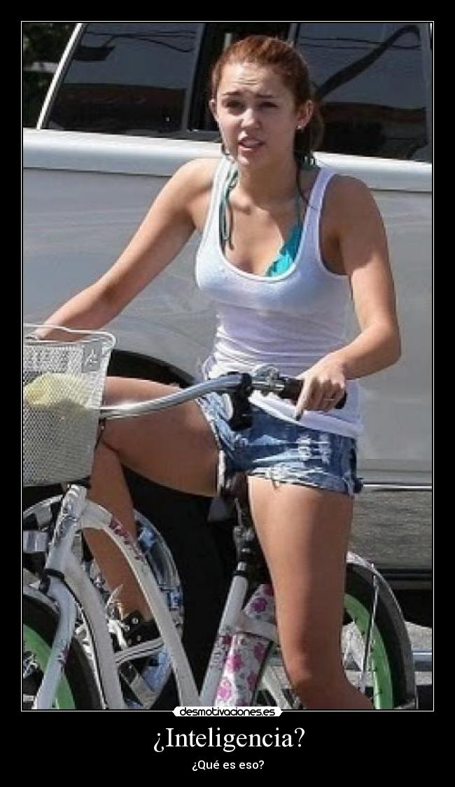 ¿Inteligencia? - ¿Qué es eso?