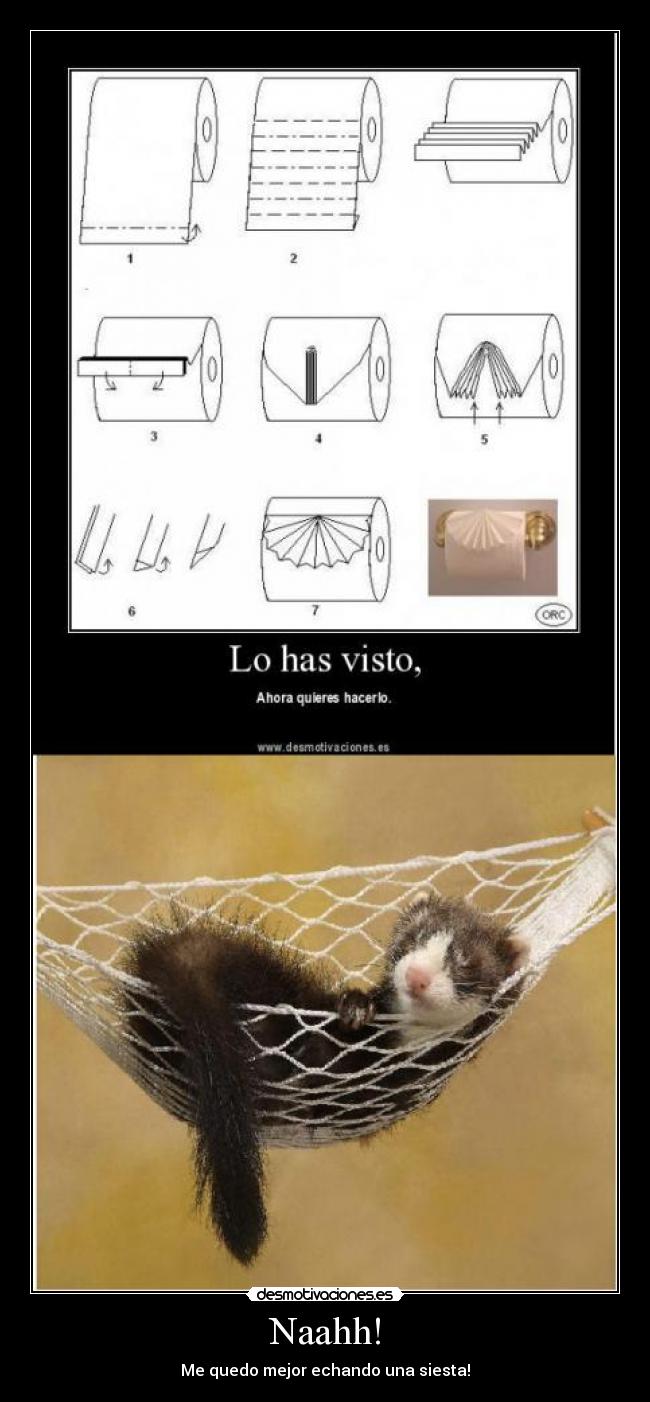 Naahh! - Me quedo mejor echando una siesta!