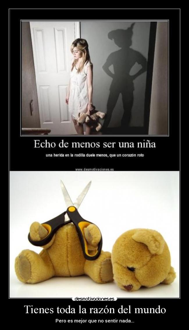 Tienes toda la razón del mundo - Pero es mejor que no sentir nada...