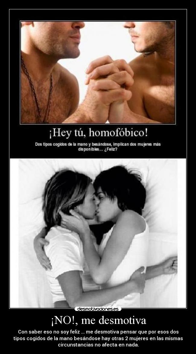 carteles homosexualidad desmotivaciones