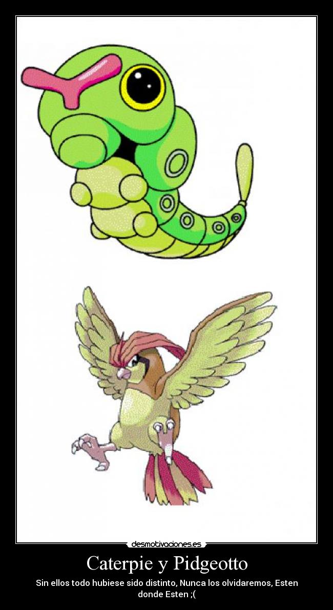 Caterpie y Pidgeotto - 