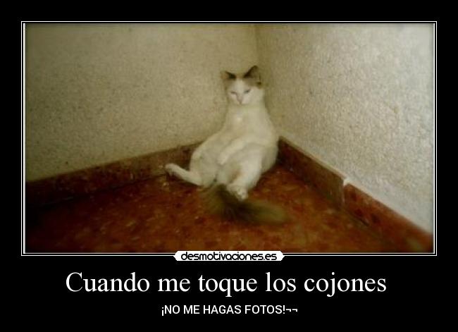 carteles senor desmotivaciones desmotivaciones