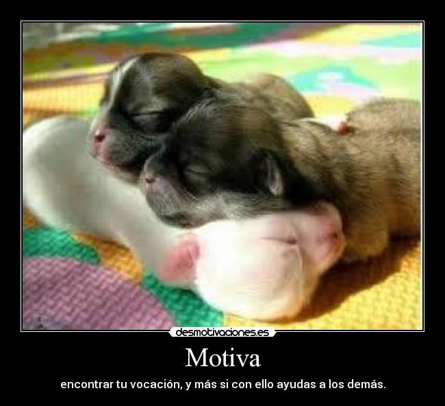 Motiva - encontrar tu vocación, y más si con ello ayudas a los demás.