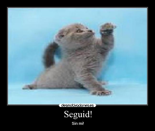 Seguid! -