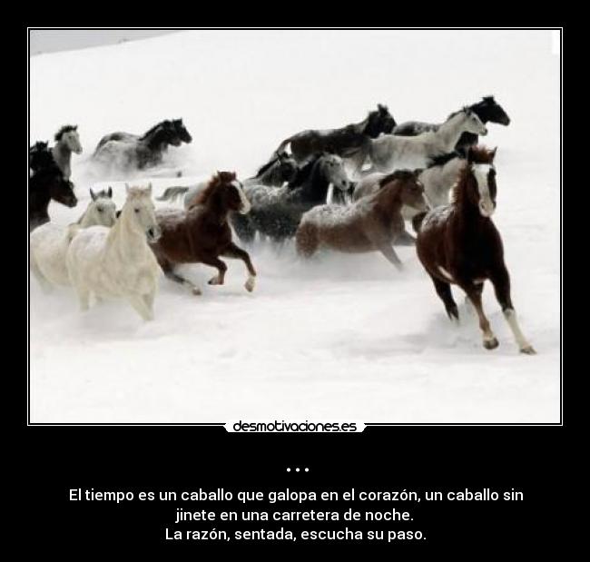 ... - El tiempo es un caballo que galopa en el corazón, un caballo sin
jinete en una carretera de noche.
La razón, sentada, escucha su paso.