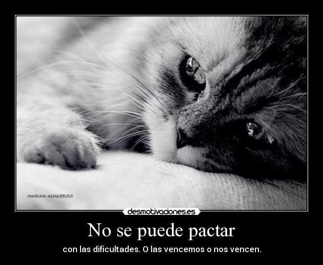 No se puede pactar - 