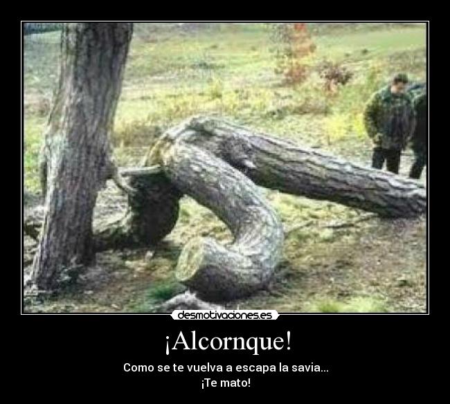 ¡Alcornque! - Como se te vuelva a escapa la savia...
¡Te mato!