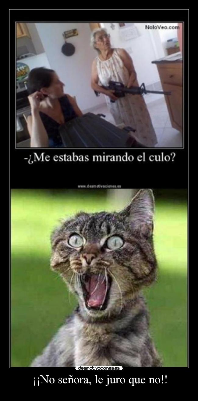 ¡¡No señora, le juro que no!! - 