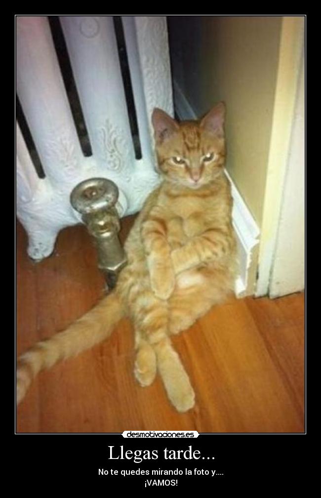 Llegas tarde... -