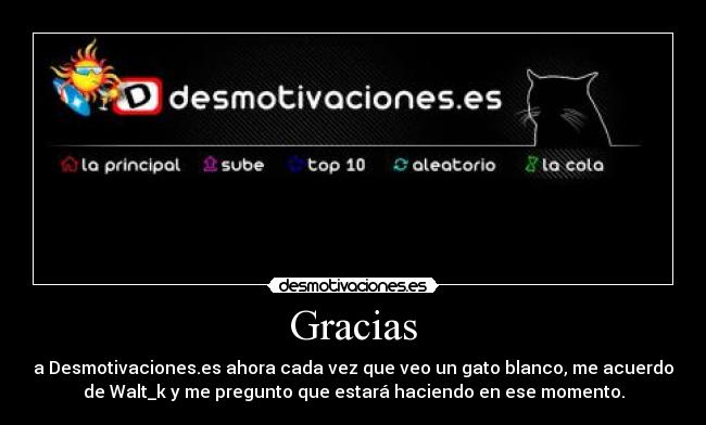 Gracias - a Desmotivaciones.es ahora cada vez que veo un gato blanco, me acuerdo
de Walt_k y me pregunto que estará haciendo en ese momento.
