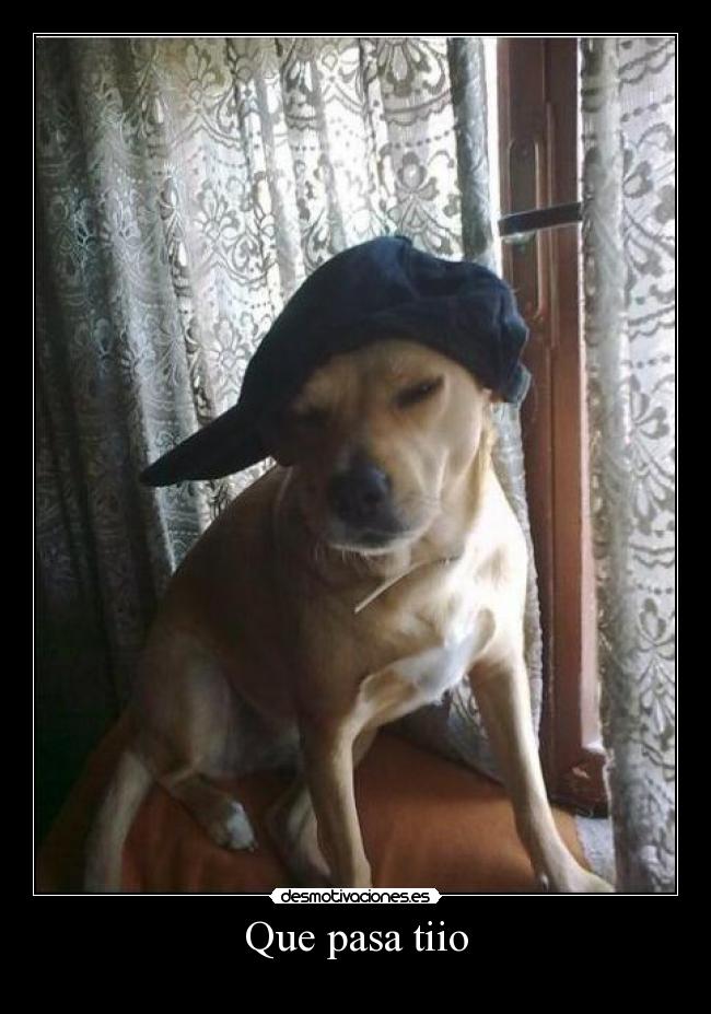 Que pasa tiio - 
