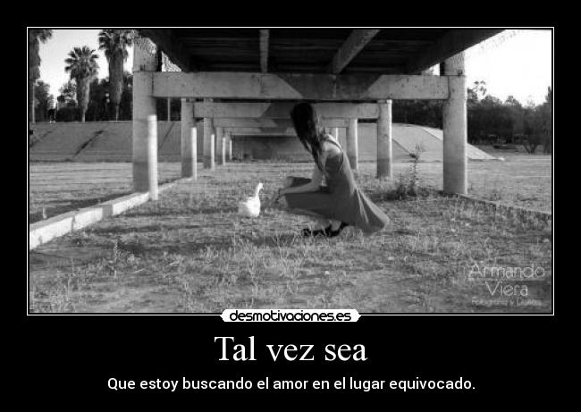 Tal vez sea - Que estoy buscando el amor en el lugar equivocado.