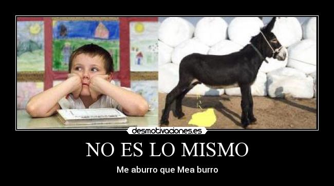 NO ES LO MISMO - 