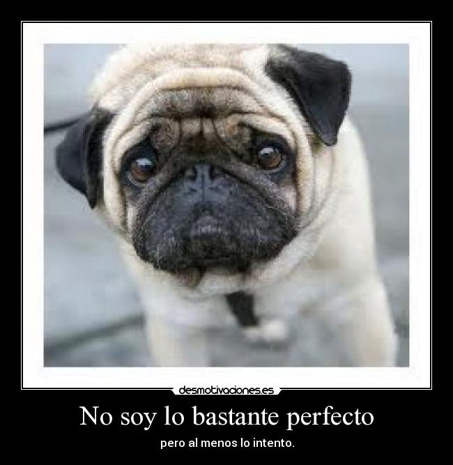 No soy lo bastante perfecto - pero al menos lo intento.