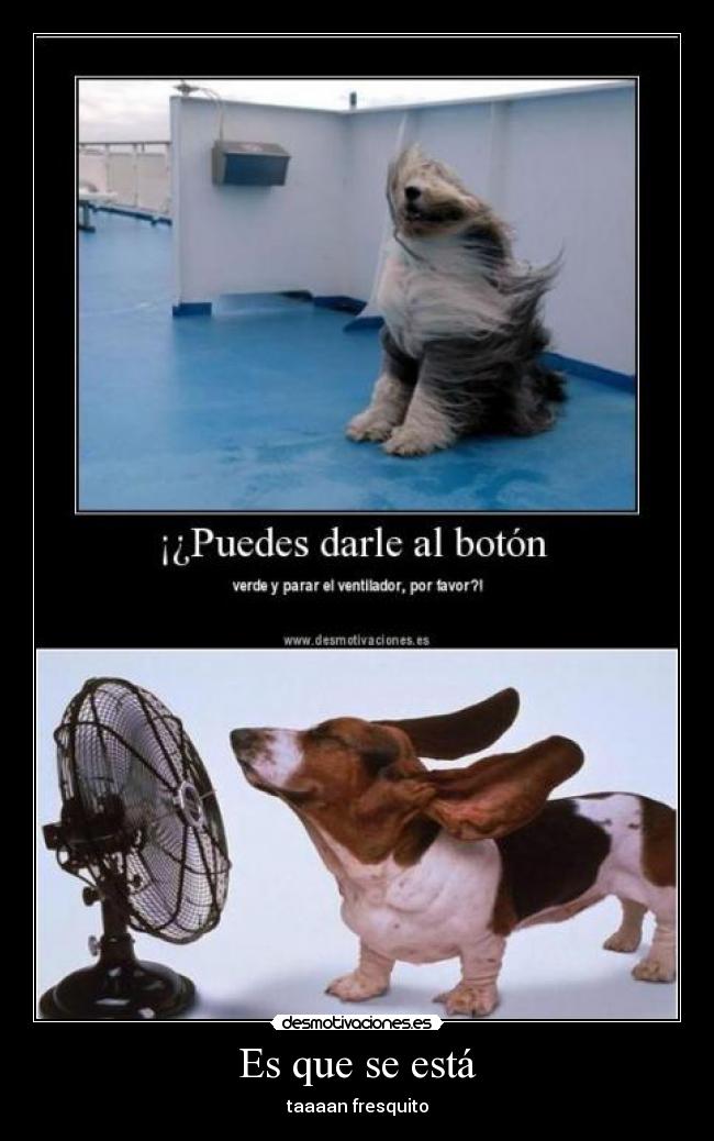 Es que se está - taaaan fresquito