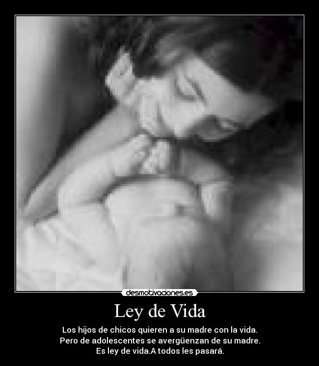 Ley de Vida - 