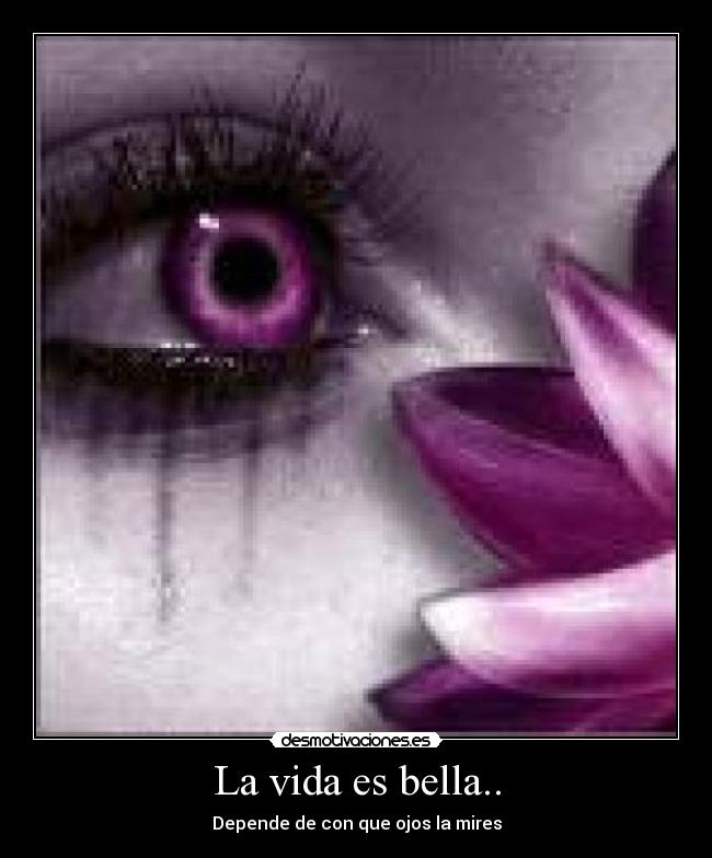 La vida es bella.. -