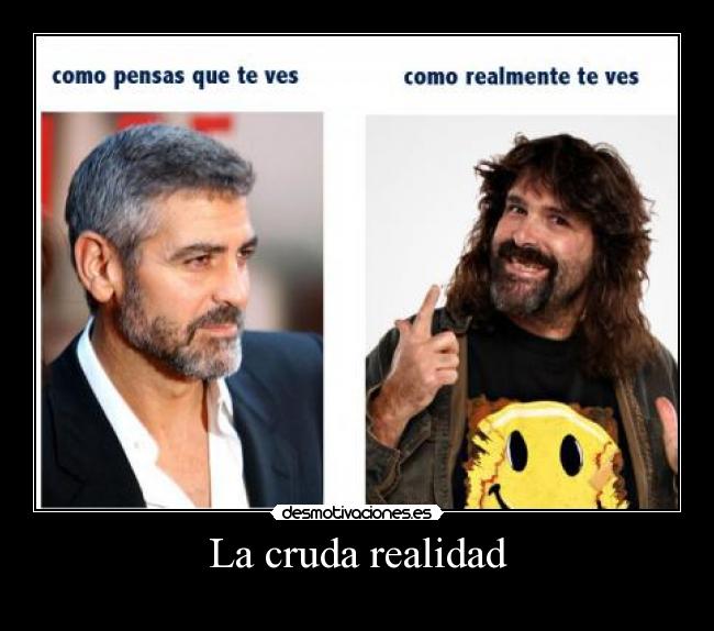 La cruda realidad - 
