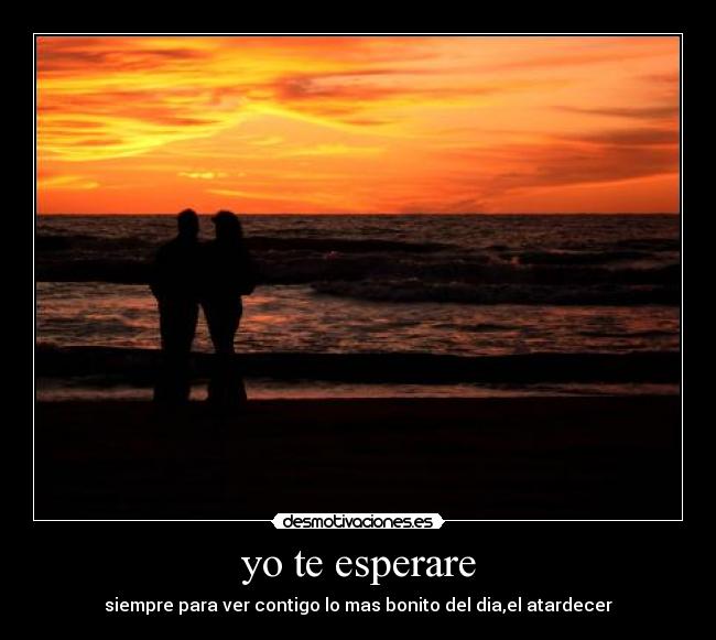 yo te esperare - 