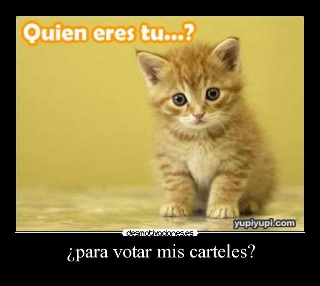 ¿para votar mis carteles? - 