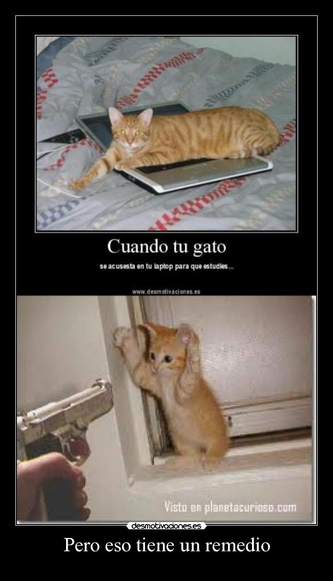 Pero eso tiene un remedio - 