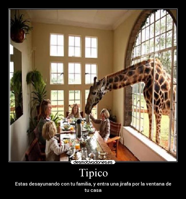 Tipico - Estas desayunando con tu familia, y entra una jirafa por la ventana de tu casa