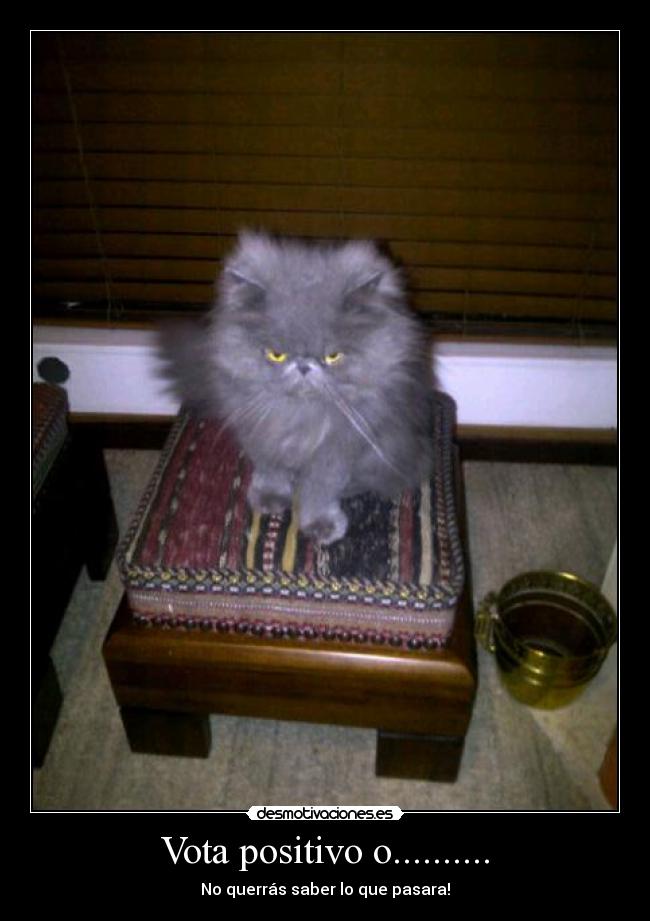 Vota positivo o.......... - No querrás saber lo que pasara!